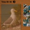play Puzzle Mania - Seagull