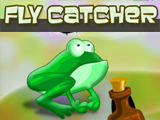 play Fly Catcher