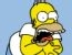 play Homers Emotions
