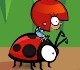 play Ladybird Racing