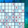 play Sudoku X