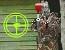 play Paint Ball Shooter