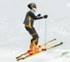 play Ski Sim