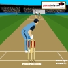 play Cricket-Master Blaster