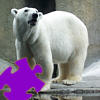 play Polar Bear Jigsaw