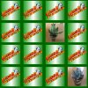 play Flash Pairs