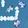 play Polar Bear Racing