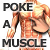 play Poke-A-Muscle