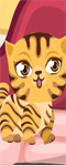 play Mommy Cat