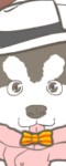 play My Puppy Fashion