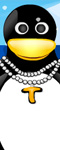 play Penguin Dress Up