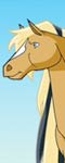 play Horse Friends Makeover