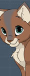 play Cutie Kitten Creator