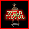 play Wild Pistol