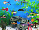 play Fish Tycoon Online