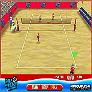 play Rule The Beach Volleyball