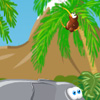 play Afrafly