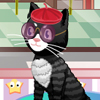 play Cat Salon