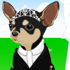 Pet Wedding Dress Up