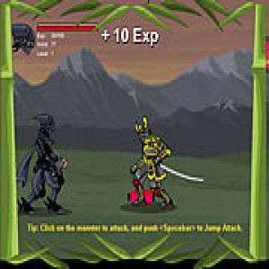 play Ninja Assault