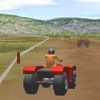 play Quad Racer 1