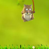 play Swinging Hamster