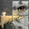 play Puzzel Maniax