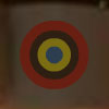 play Hidden Targets