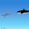 play Dolphin Jumping 5