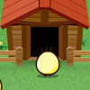 play Catch The Chicks
