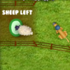 play Catching Sheep 3