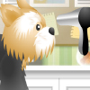 play Pet-Grooming Studio