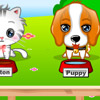 play My Cute Pets 2