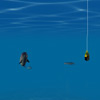 play Fishing 1