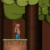 play Grizzly Adventure