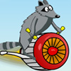 play Crazy Raccoon