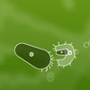play Amoebe Fight