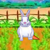 play Playful Bunnies