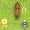 play Chocolate Course