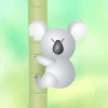 play Bum Bum Koala