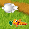 play Hare And Tortoise