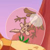play Coyote Roll