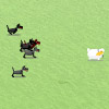 play Avoiding Dogs