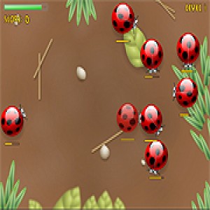 play Spider Bugs