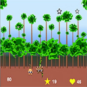 play Super Raccoon