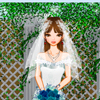 Dress-Up Princes Bride