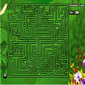 play Maze