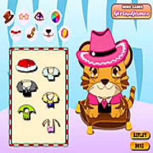 play Baby Tiger Dressup