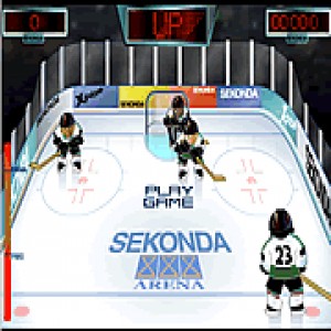 play Sekonda Ice Hockey