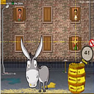 play Dungfoo Donkey